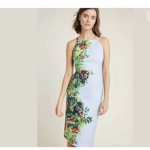 Maeve orange grove dress from anthropologie